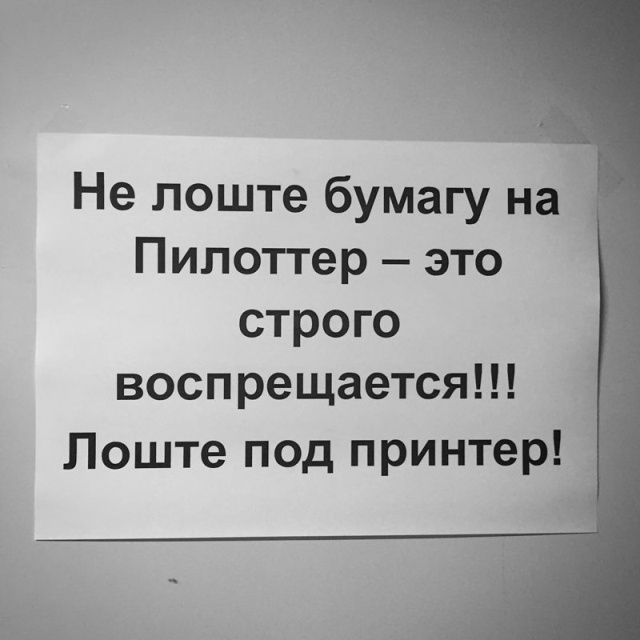 Грамотность, куда же ты? Не уходи! (22 фото)