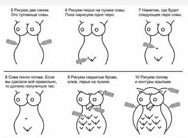 Необычная инструкция: как "правильно" рисовать сову (3 рисунка)
