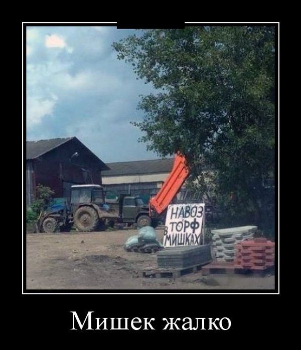 Демотиваторы (30 фото)