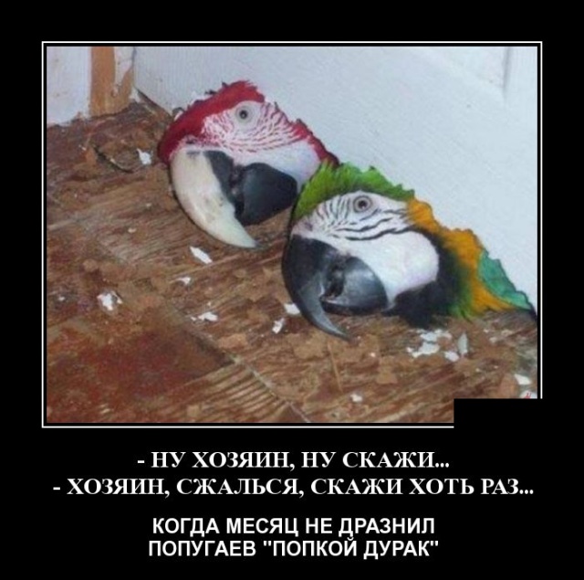 Демотиваторы (30 фото)