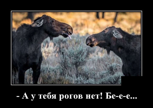 Демотиваторы (30 фото)