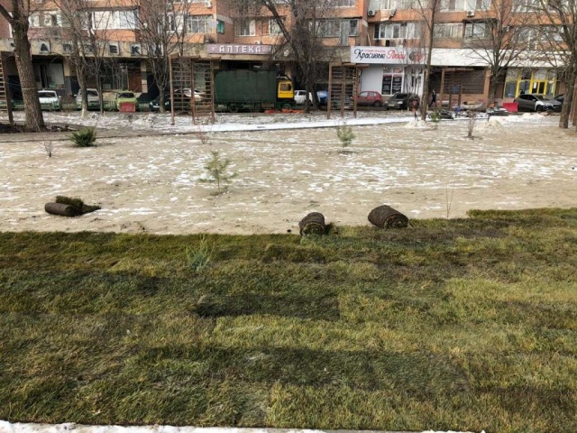 В Ростове-на-Дону в новом сквере укладывают рулонный газон прямо на сугробы (3 фото)
