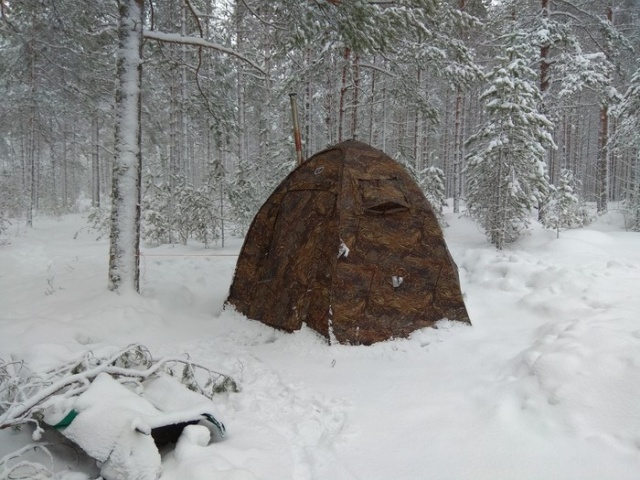 Новогодний поход в лес с палатками (9 фото)