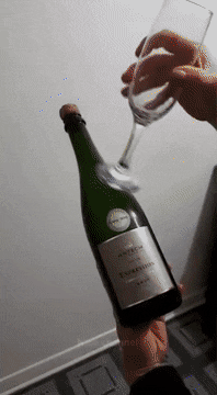 Фейлы с шампанским (13 гифок)