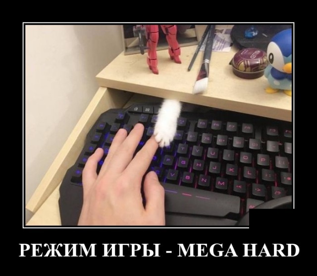 Демотиваторы (30 фото)