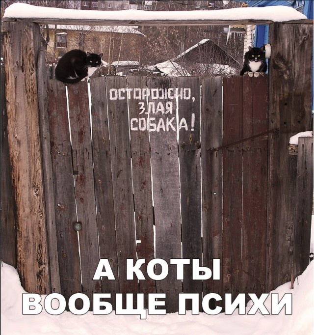 Шутки и юмор без смысловой нагрузки (30 фото)