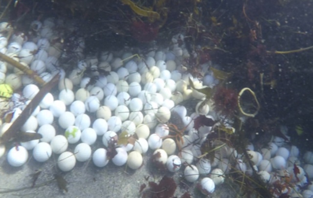 Фридайверы достали из океана несколько тонн мячиков для гольфа (5 фото)