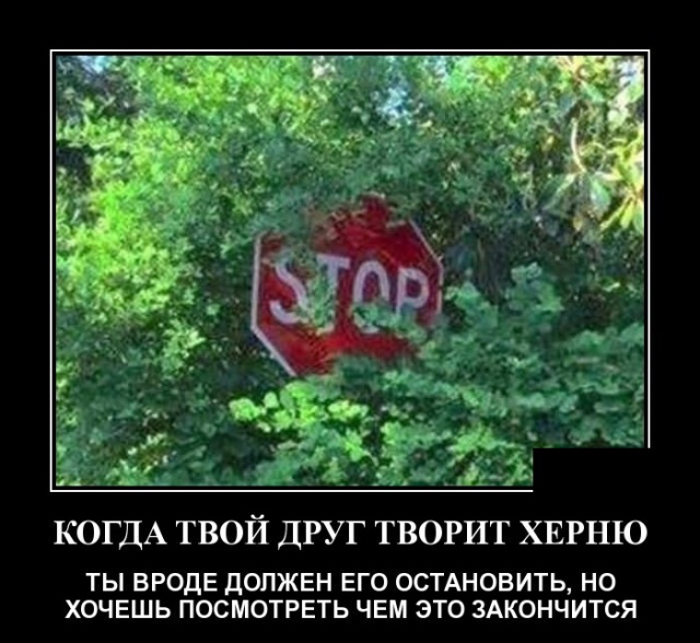 Демотиваторы (30 фото)