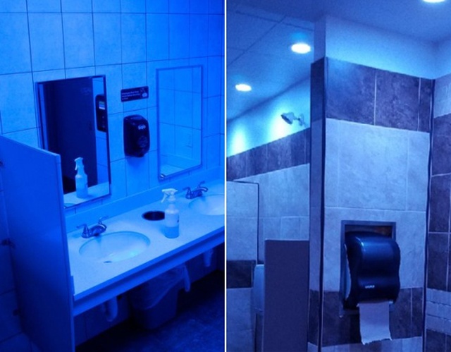 Ночной клуб туалет видео. Туалет в ночном клубе. Дизайн туалета в клубе. Дизайн туалета в ночном клубе. Синее освещение в туалетах.