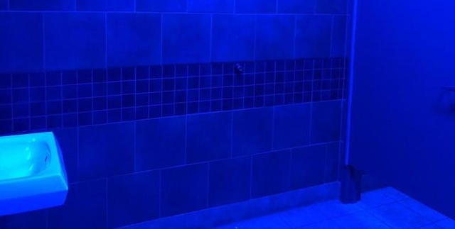 Синяя подсветка в общественных туалетах (5 фото)