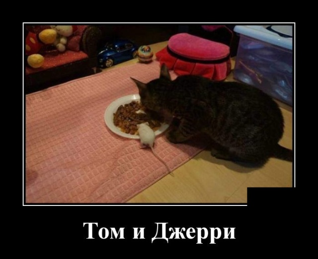 Демотиваторы (30 фото)