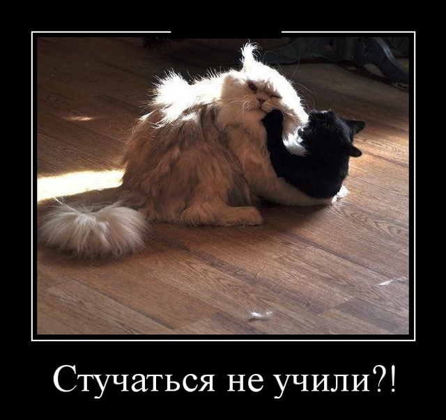 Демотиваторы (30 фото)