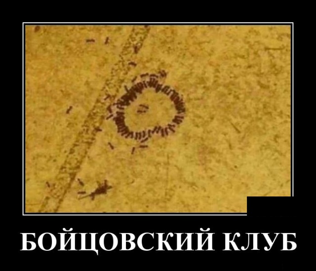 Демотиваторы (30 фото)