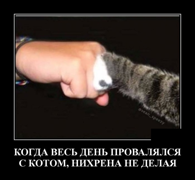 Демотиваторы (30 фото)