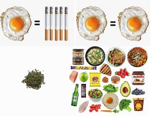 Интересная инфографика про полезную и вредную еду (16 фото)