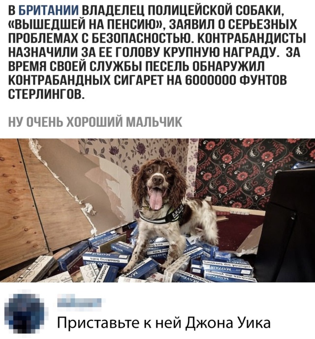 Подборка картинок. Вечерний выпуск (20 фото)