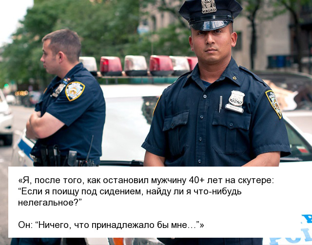Фразы, которые не следовало бы говорить полицейским (15 фото)