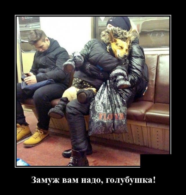 Демотиваторы (30 фото)