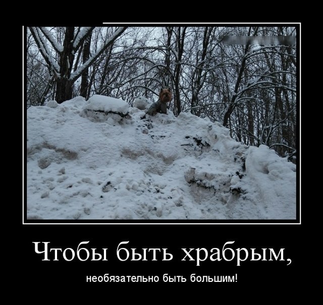 Демотиваторы (30 фото)