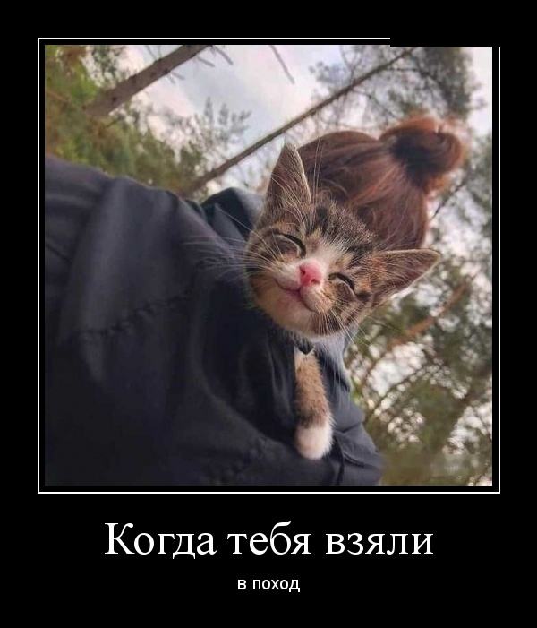Демотиваторы (30 фото)