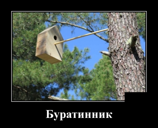 Демотиваторы (30 фото)