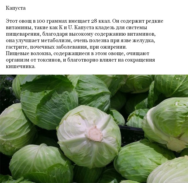Полезные низкокалорийные продукты (10 фото)