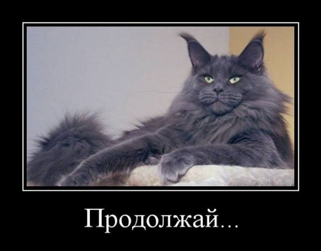 Демотиваторы (30 фото)