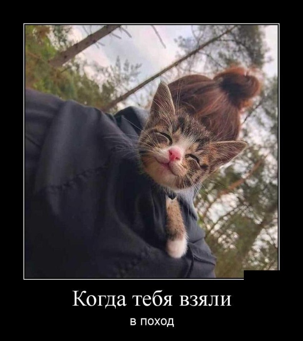 Демотиваторы (30 фото)