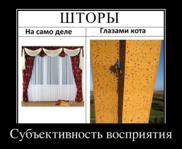 Демотиваторы (30 фото)