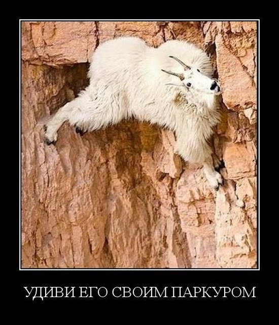 Демотиваторы (30 фото)