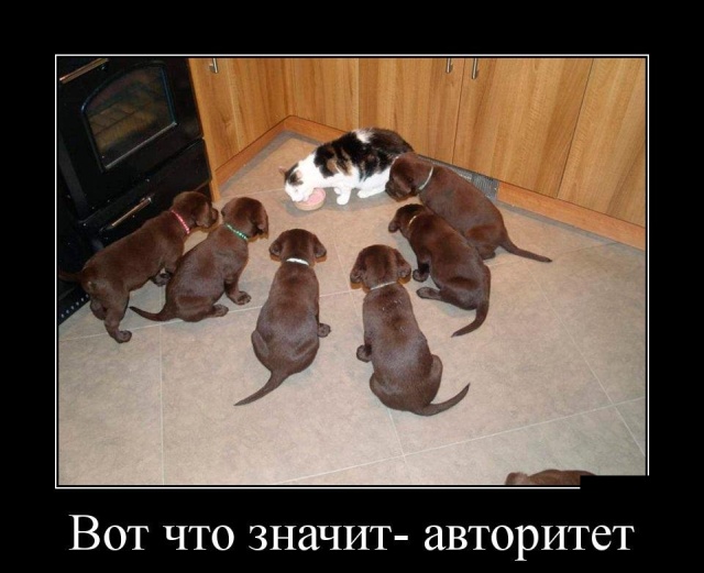 Демотиваторы (30 фото)
