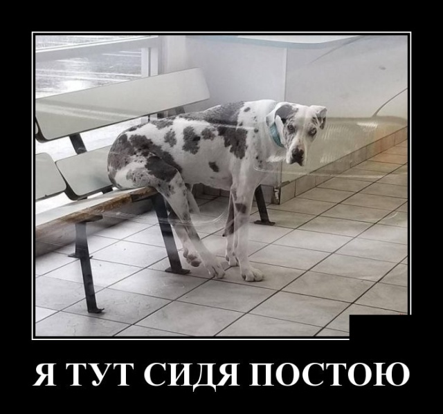 Демотиваторы (30 фото)