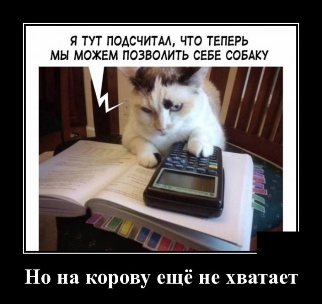 Демотиваторы (30 фото)