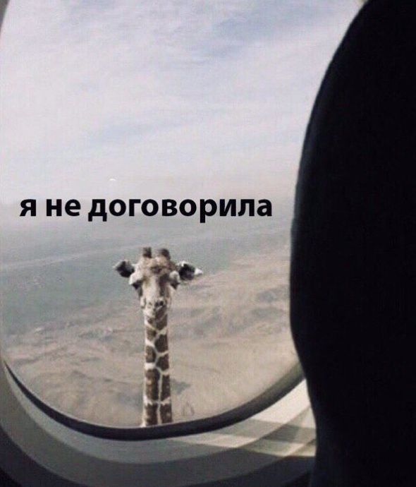 Подборка картинок. Вечерний выпуск (21 фото)