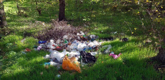 Чиновник в Ростовской области "закрасил" мусорную свалку в фотошопе (6 фото)