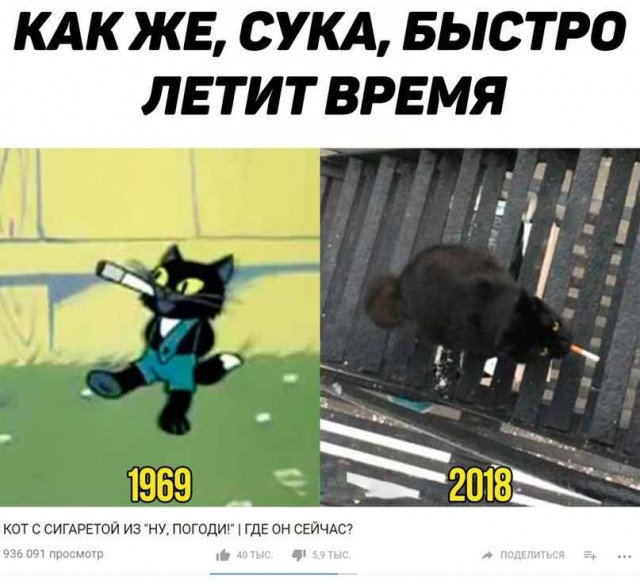 Подборка картинок. Дневной выпуск (20 фото)