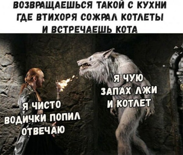 Подборка картинок. Вечерний выпуск (20 фото)