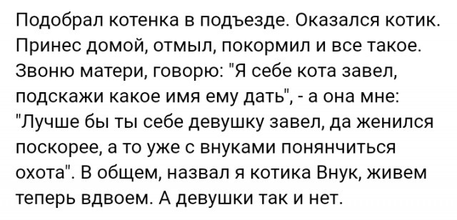 Подборка картинок. Вечерний выпуск (20 фото)