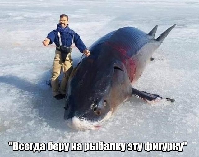 Подборка картинок. Вечерний выпуск (20 фото)