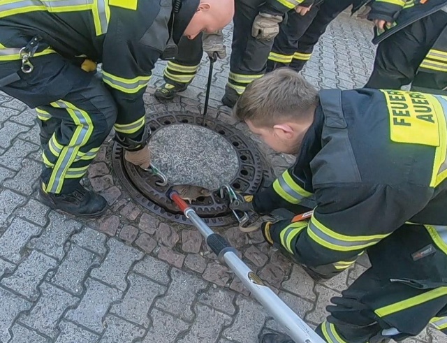 Бригада из восьми немецких пожарных спасла застрявшую крысу (4 фото + видео)