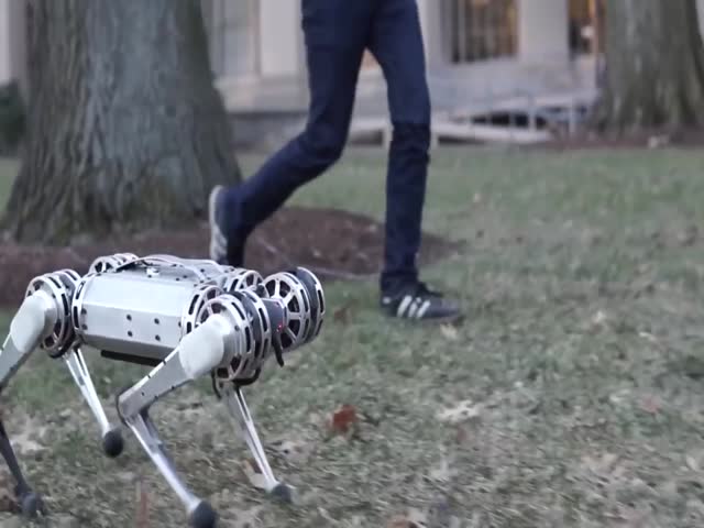 MIT Mini Cheetah научился делать сальто