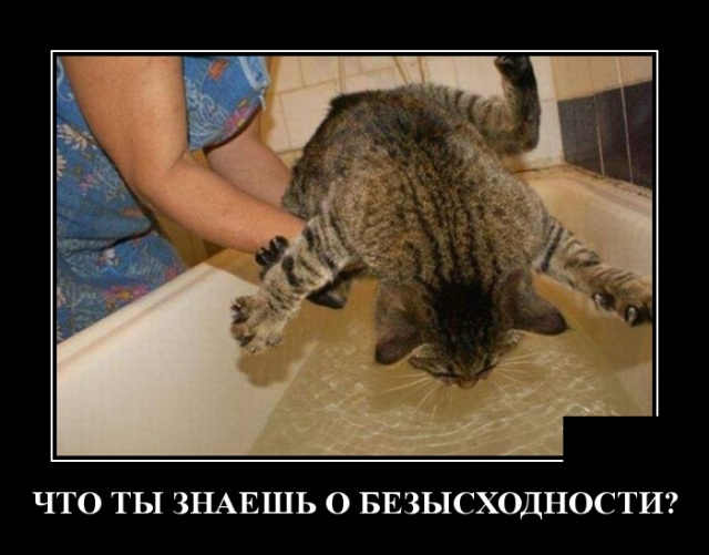 Демотиваторы (30 фото)