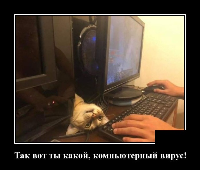 Демотиваторы (30 фото)