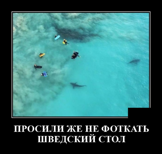 Демотиваторы (30 фото)