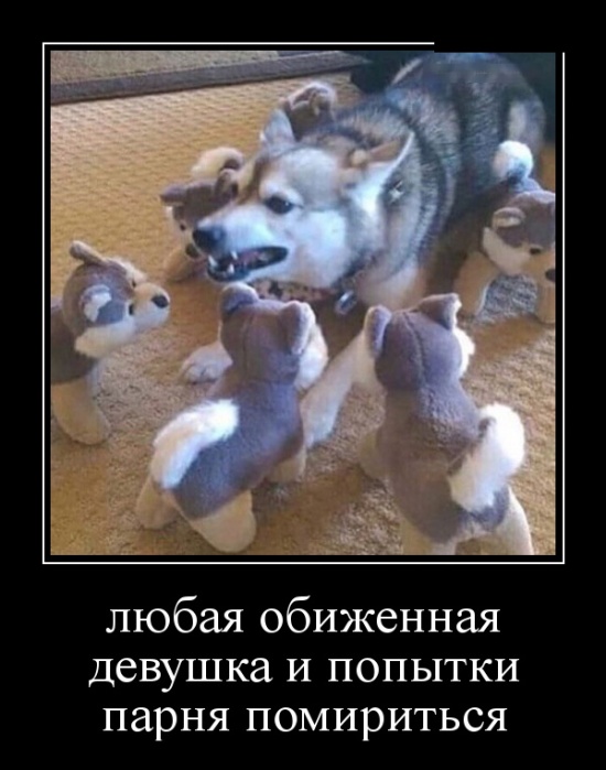 Демотиваторы (30 фото)