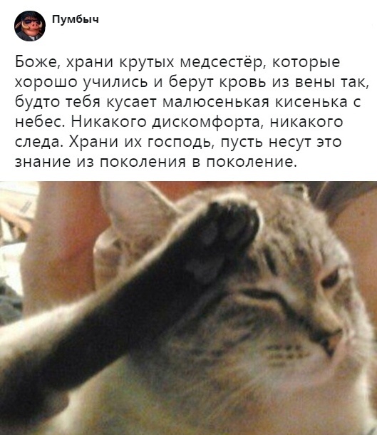 Подборка картинок. Вечерний выпуск (23 фото)