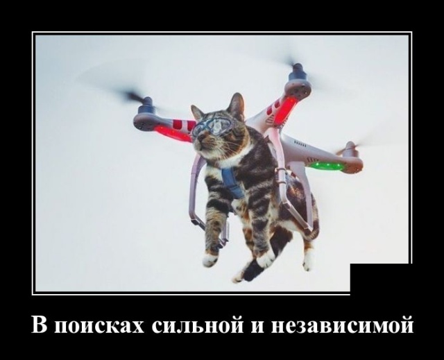 Демотиваторы (30 фото)