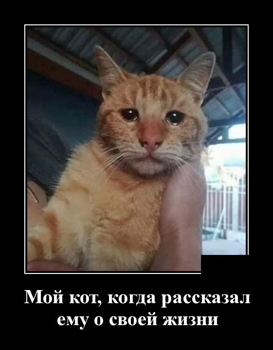 Демотиваторы (30 фото)