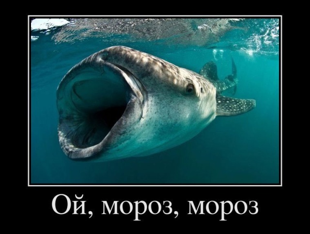 Демотиваторы (30 фото)