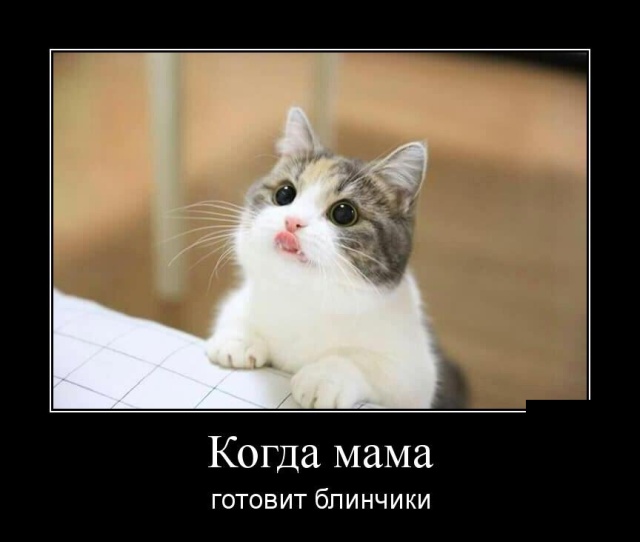 Демотиваторы (30 фото)